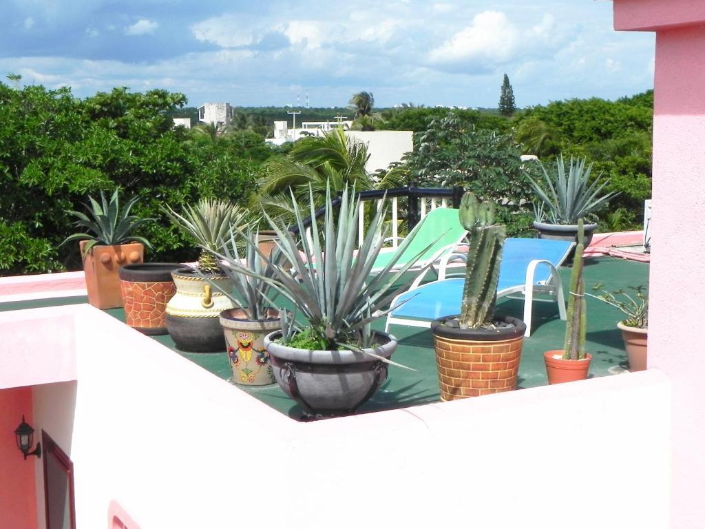 Casa Gatos Aparthotel Akumal Exterior foto